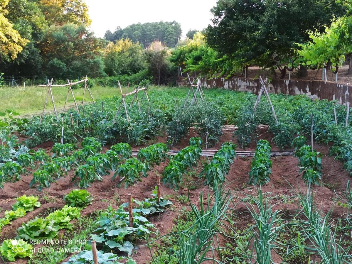 Finca Vergel 가타 외부 사진
