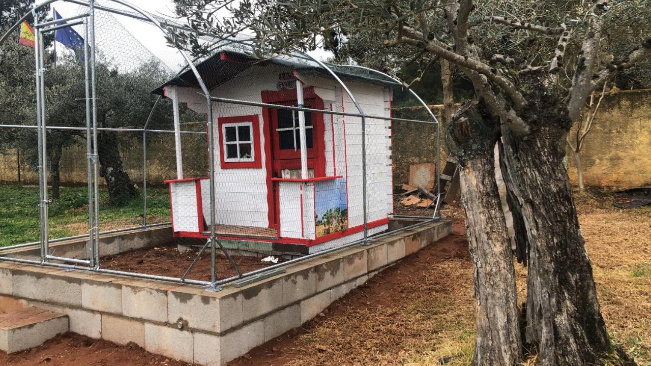 Finca Vergel 가타 외부 사진