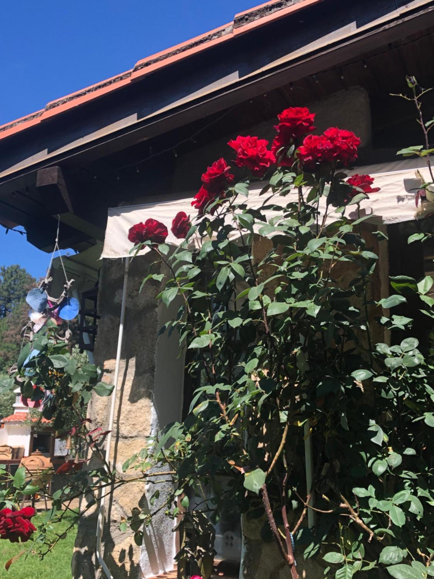 Finca Vergel 가타 외부 사진